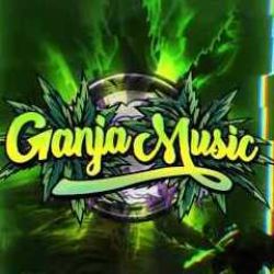 5ILVA&nbsp;Illegal Bush