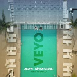 ASLVN&nbsp;Veyo