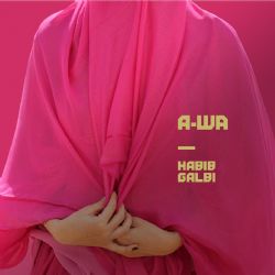 AWA&nbsp;Habib Galbi