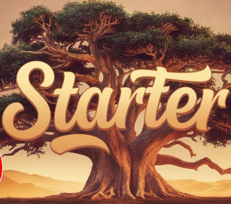 Abdullah Özdoğan&nbsp;Starter