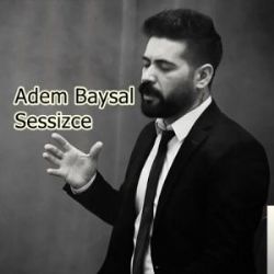 Adem Baysal&nbsp;Sessizce