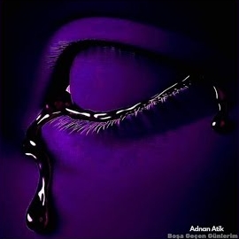 Adnan Atik&nbsp;Boşa Geçen Günlerim
