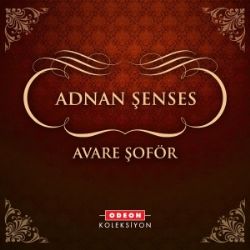 Adnan Şenses&nbsp;Avare Şöför