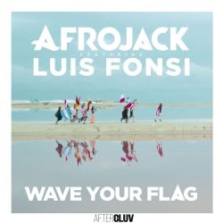 Afrojack&nbsp;Wave Your Flag