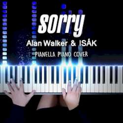 Alan Walker&nbsp;Sorry