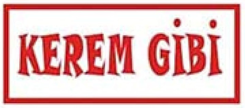 Aleyna Tilki&nbsp;Kerem Gibi