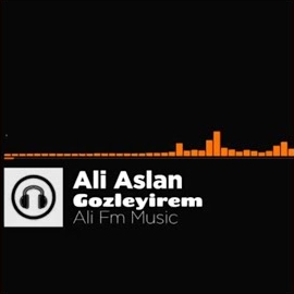 Ali&nbsp;Gözleyirem