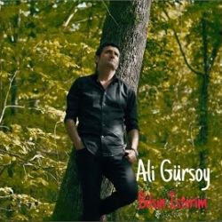 Ali Gürsoy&nbsp;Bilsin İsterim