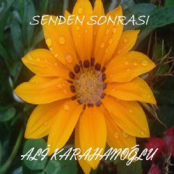 Ali Karahanoğlu&nbsp;Senden Sonrası