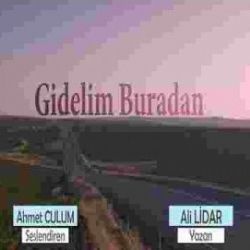 Ali Lidar&nbsp;Gidelim Buradan