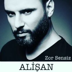 Alişan&nbsp;Zor Sensiz