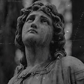 Anfora&nbsp;Bana Sor