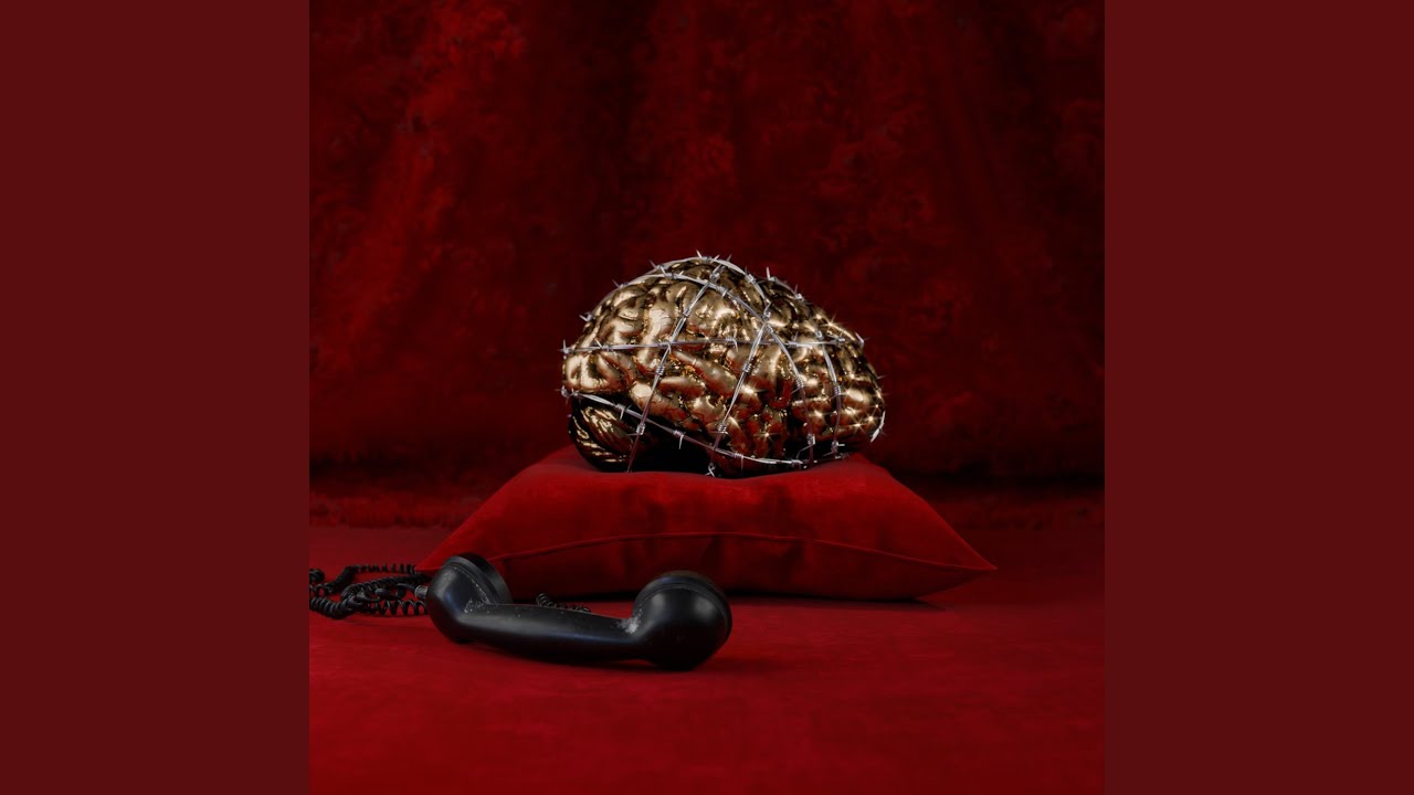 Anıl Piyancı&nbsp;GÜZELİM BU DA KAFA