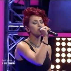 Arzu Akdaş&nbsp;Düş Bahçeleri