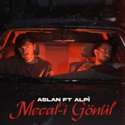 Aslan&nbsp;Mecali Gönül