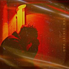 Asp&nbsp;Tek Çıkışı Var