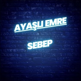 Ayaşlı Emre Ergin&nbsp;Sebep