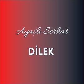 Ayaşlı Serhat&nbsp;Dilek