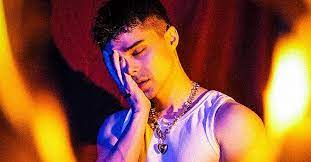 Ayberk Serin&nbsp;Vurgunum