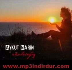 Aykut Narin&nbsp;Eksileceğiz