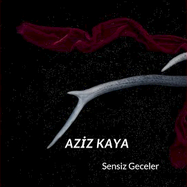 Aziz Kaya&nbsp;Sensiz Geceler