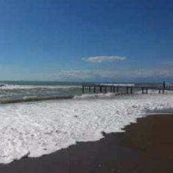 Barış Geçim&nbsp;Günahı Boynuna