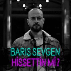 Barış Sevgen&nbsp;Hissettin Mi