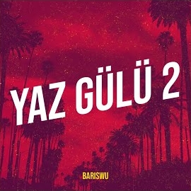 Bariswu&nbsp;Yaz Gülü 2