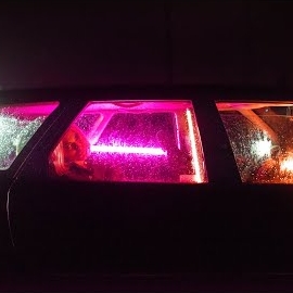 Bariswu&nbsp;Yüzünü Asma