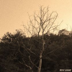 BaTu&nbsp;Beni Bırak