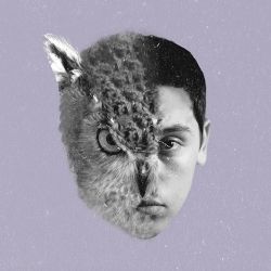 Ben Beal&nbsp;Cardinal