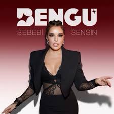 Bengü&nbsp;Sebebi Sensin