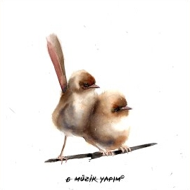 Beraat&nbsp;Çalıkuşu