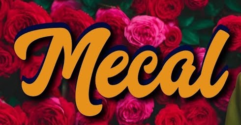 Berat Değirmenci&nbsp;Mecal Kalmaz