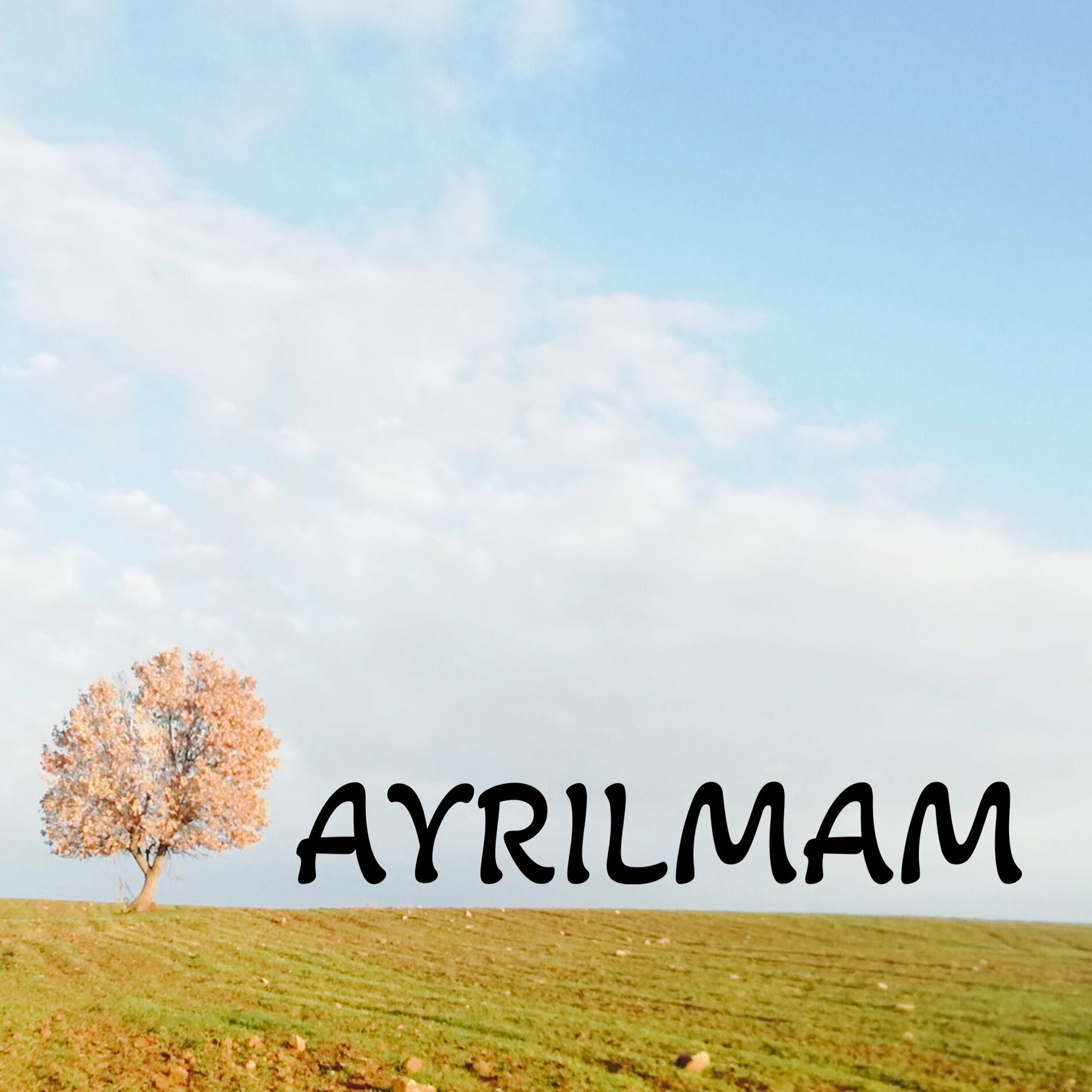 Berdan Mardini&nbsp;Ayrılmam