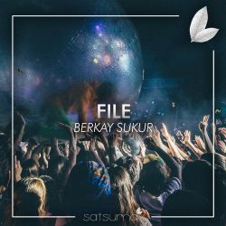 Berkay Şükür&nbsp;File