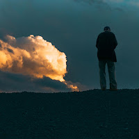 Beyaz Hayvanlar&nbsp;Biri