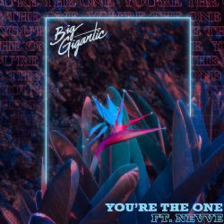 Big Gigantic&nbsp;Youre The One