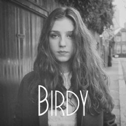Birdy&nbsp;Skinny Love