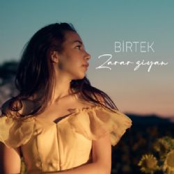 Birtek&nbsp;Zarar Ziyan