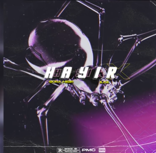 Bora Hışır&nbsp;Hayır