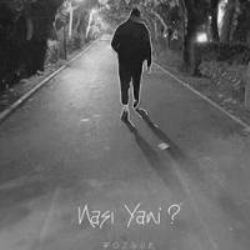 Bozgun&nbsp;Nası Yani