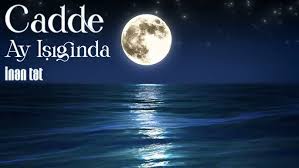 Cadde&nbsp;Ay Işığında 4K