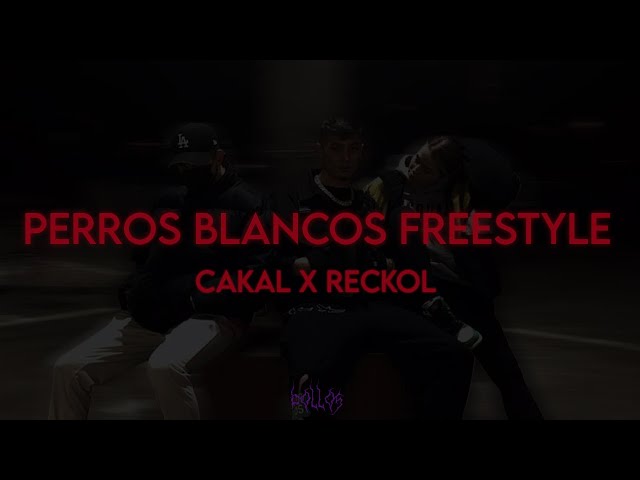 Çakal&nbsp;Perros Blancos Freestyle