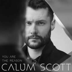 Calum Scott&nbsp;You Are The Reason