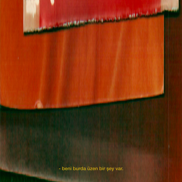 Can Güngör&nbsp;Beni burda üzen bir şey var