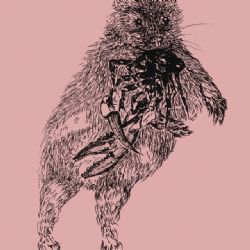 Can Güngör&nbsp;Teselli