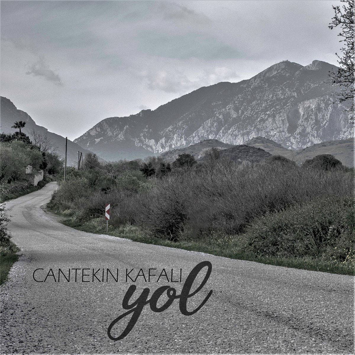 Cantekin Kafalı&nbsp;Yol