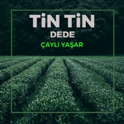 Çaylı Yaşar&nbsp;Tin Tin Dede