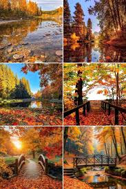 Cem İbrahim&nbsp;Soğuk Bir Sonbahar